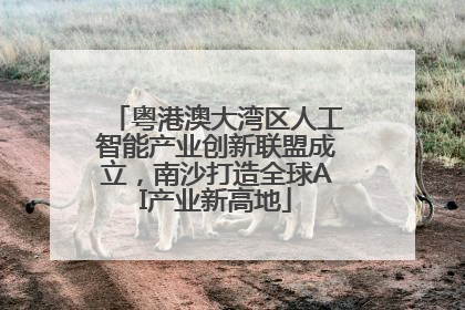 粤港澳大湾区人工智能产业创新联盟成立，南沙打造全球AI产业新高地