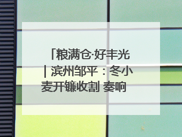 粮满仓·好丰光｜滨州邹平：冬小麦开镰收割 奏响夏日丰收曲
