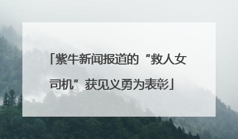 紫牛新闻报道的“救人女司机”获见义勇为表彰