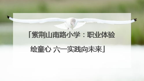 紫荆山南路小学：职业体验绘童心 六一实践向未来