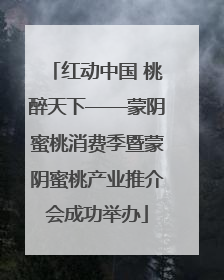 红动中国 桃醉天下——蒙阴蜜桃消费季暨蒙阴蜜桃产业推介会成功举办