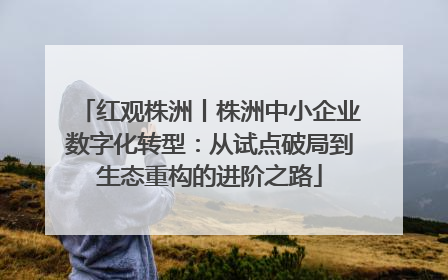 红观株洲丨株洲中小企业数字化转型：从试点破局到生态重构的进阶之路