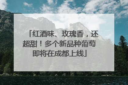 红酒味、玫瑰香，还超甜！多个新品种葡萄即将在成都上线