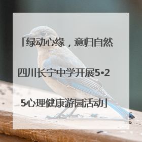 绿动心缘，意归自然 四川长宁中学开展5•25心理健康游园活动