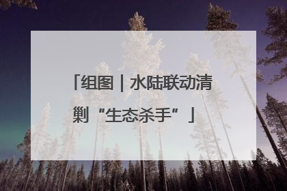组图｜水陆联动清剿“生态杀手”