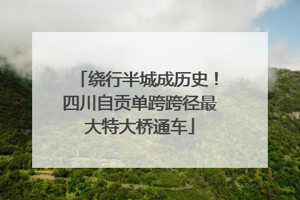 绕行半城成历史！四川自贡单跨跨径最大特大桥通车