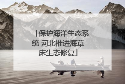 保护海洋生态系统 河北推进海草床生态修复