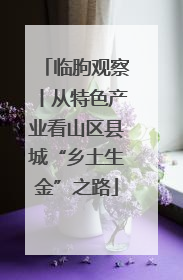 临朐观察丨从特色产业看山区县城“乡土生金”之路