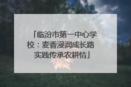 临汾市第一中心学校：麦香浸润成长路 实践传承农耕情
