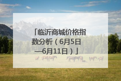临沂商城价格指数分析（6月5日—6月11日）