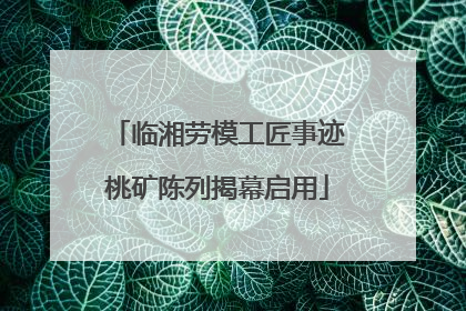 临湘劳模工匠事迹桃矿陈列揭幕启用