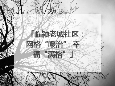 临颍老城社区：网格“暖治” 幸福“满格”