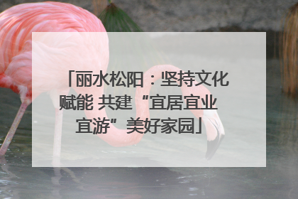 丽水松阳：坚持文化赋能 共建“宜居宜业宜游”美好家园