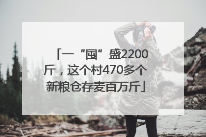 一“囤”盛2200斤，这个村470多个新粮仓存麦百万斤