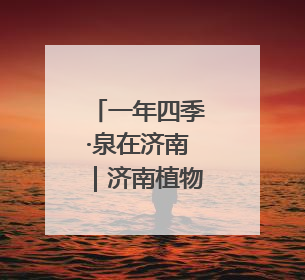 一年四季·泉在济南｜济南植物园露营季启动招募