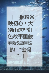 一捆粉条映初心！大别山这些红色故事里藏着纪律建设的 “密码”