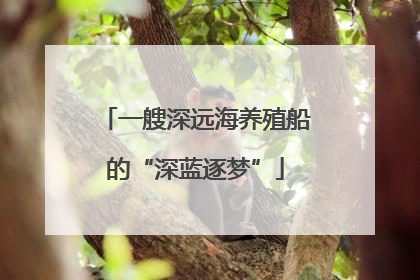 一艘深远海养殖船的“深蓝逐梦”