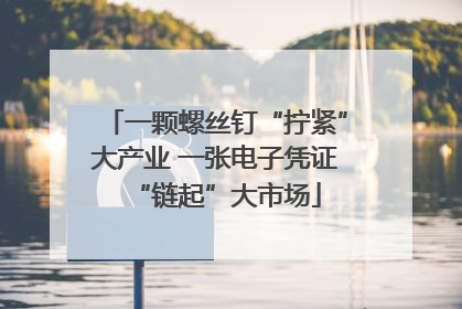 一颗螺丝钉“拧紧”大产业 一张电子凭证“链起”大市场