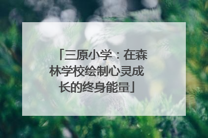 三原小学：在森林学校绘制心灵成长的终身能量