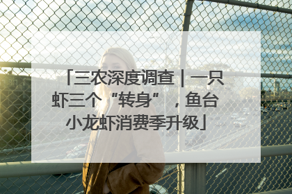 三农深度调查｜一只虾三个“转身”，鱼台小龙虾消费季升级
