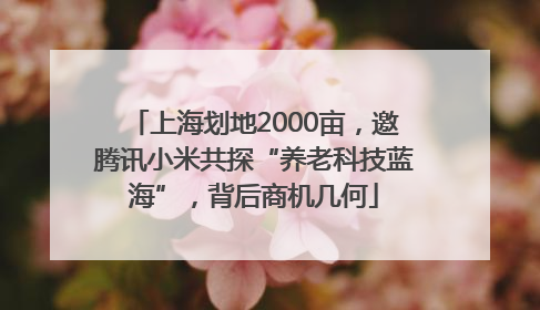 上海划地2000亩，邀腾讯小米共探“养老科技蓝海”，背后商机几何