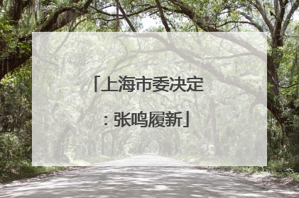 上海市委决定：张鸣履新