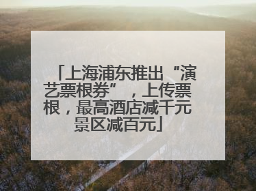 上海浦东推出“演艺票根券”，上传票根，最高酒店减千元景区减百元