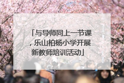 与导师同上一节课，乐山柏杨小学开展新教师培训活动
