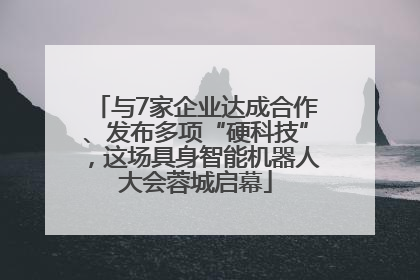 与7家企业达成合作、发布多项“硬科技”，这场具身智能机器人大会蓉城启幕