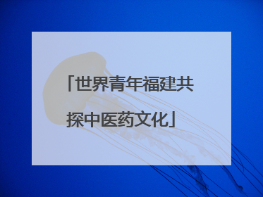 世界青年福建共探中医药文化