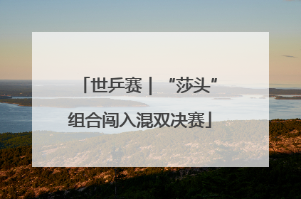 世乒赛｜“莎头”组合闯入混双决赛