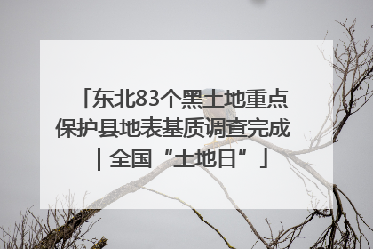 东北83个黑土地重点保护县地表基质调查完成｜全国“土地日”