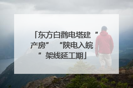 东方白鹳电塔建“产房” “陕电入皖”架线延工期