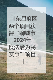 东昌府区两个项目获评“聊城市2024年度法治为民实事”项目