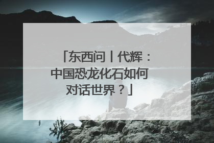 东西问丨代辉：中国恐龙化石如何对话世界？