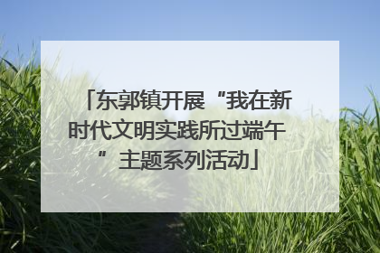 东郭镇开展“我在新时代文明实践所过端午”主题系列活动