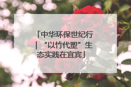 中华环保世纪行｜“以竹代塑”生态实践在宜宾