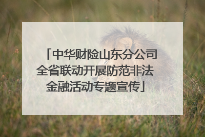 中华财险山东分公司全省联动开展防范非法金融活动专题宣传