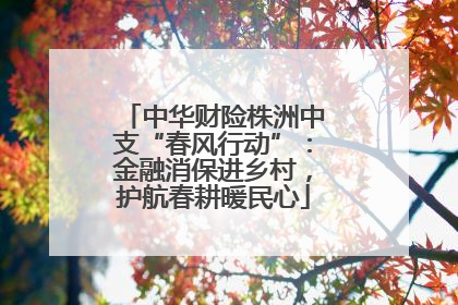 中华财险株洲中支“春风行动”：金融消保进乡村，护航春耕暖民心