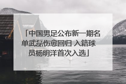 中国男足公布新一期名单武磊伤愈回归 入籍球员杨明洋首次入选