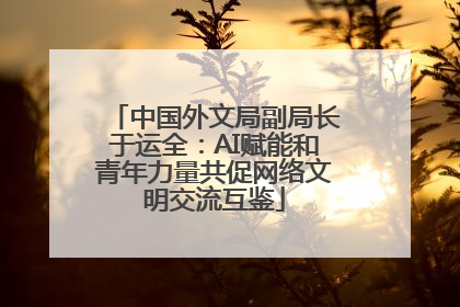 中国外文局副局长于运全：AI赋能和青年力量共促网络文明交流互鉴
