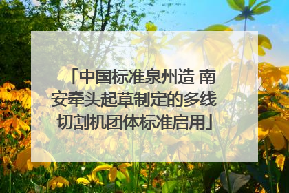 中国标准泉州造 南安牵头起草制定的多线切割机团体标准启用
