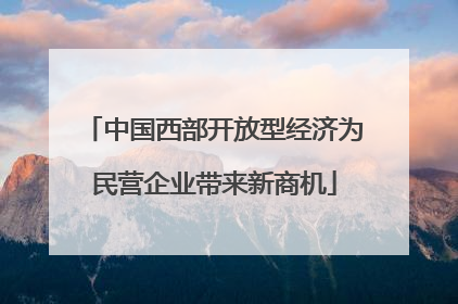 中国西部开放型经济为民营企业带来新商机