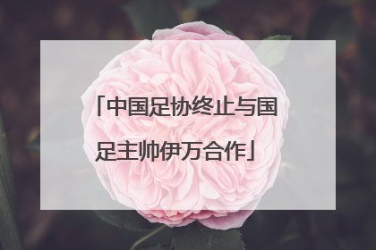 中国足协终止与国足主帅伊万合作