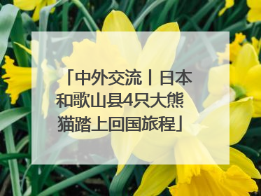 中外交流丨日本和歌山县4只大熊猫踏上回国旅程