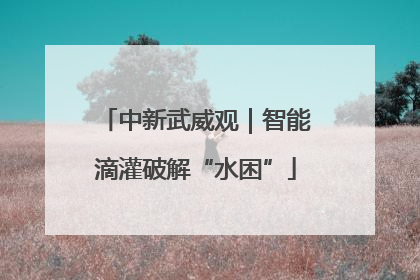 中新武威观｜智能滴灌破解“水困”