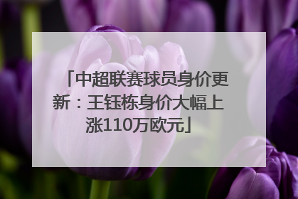 中超联赛球员身价更新：王钰栋身价大幅上涨110万欧元