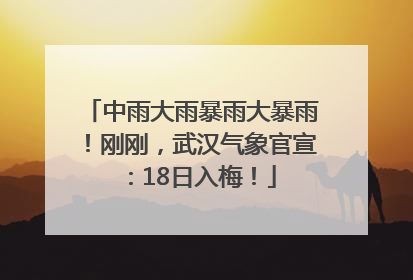 中雨大雨暴雨大暴雨！刚刚，武汉气象官宣：18日入梅！
