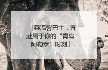 乘温馨巴士，奔赴属于你的“青岛阿勒泰”时刻