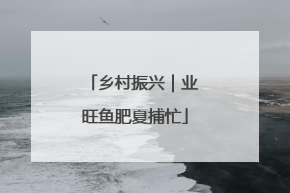 乡村振兴｜业旺鱼肥夏捕忙